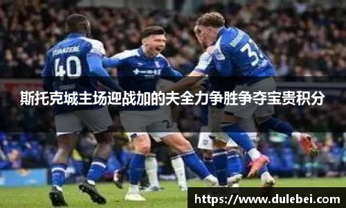 斯托克城主场迎战加的夫全力争胜争夺宝贵积分